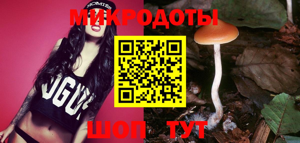 Псилоцибиновые грибы мухоморы  где продают   Каменск-Шахтинский  Вход с VPN 